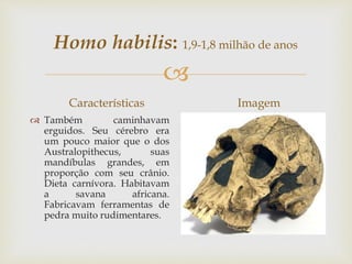 
Homo habilis: 1,9-1,8 milhão de anos
Características
 Também caminhavam
erguidos. Seu cérebro era
um pouco maior que o dos
Australopithecus, suas
mandíbulas grandes, em
proporção com seu crânio.
Dieta carnívora. Habitavam
a savana africana.
Fabricavam ferramentas de
pedra muito rudimentares.
Imagem
 