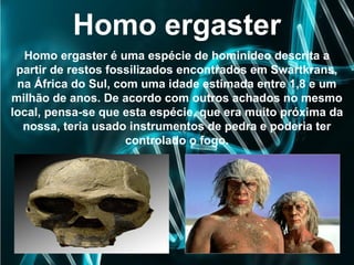 Homo ergaster
Homo ergaster é uma espécie de hominídeo descrita a
partir de restos fossilizados encontrados em Swartkrans,
na África do Sul, com uma idade estimada entre 1,8 e um
milhão de anos. De acordo com outros achados no mesmo
local, pensa-se que esta espécie, que era muito próxima da
nossa, teria usado instrumentos de pedra e poderia ter
controlado o fogo.
 