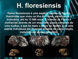 H. floresiensis
Homo floresiensis é uma espécie extinta da família
Hominidae que viveu na Ilha de Flores, pertencente à
Indonésia, até há 13 000 anos. O homem de Flores é
conhecido através de um esqueleto quase completo de
uma mulher, a que foi dado o nome de Hobbit, e de seis
outros indivíduos em diversos estados de conservação,
incluindo um punho completo.
 