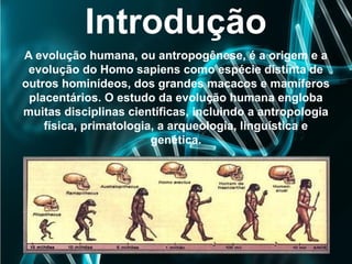 Introdução
A evolução humana, ou antropogênese, é a origem e a
evolução do Homo sapiens como espécie distinta de
outros hominídeos, dos grandes macacos e mamíferos
placentários. O estudo da evolução humana engloba
muitas disciplinas científicas, incluindo a antropologia
física, primatologia, a arqueologia, linguística e
genética.
 