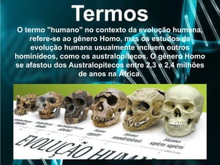 Termos
O termo "humano" no contexto da evolução humana,
refere-se ao gênero Homo, mas os estudos da
evolução humana usualmente incluem outros
hominídeos, como os australopitecos. O gênero Homo
se afastou dos Australopitecos entre 2,3 e 2,4 milhões
de anos na África.
 