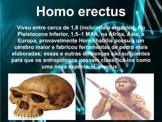 Homo erectus
Viveu entre cerca de 1,8 (incluindo o ergaster). No
Pleistoceno Inferior, 1,5–1 MAA, na África, Ásia, e
Europa, provavelmente Homo habilis possuía um
cérebro maior e fabricou ferramentas de pedra mais
elaboradas; essas e outras diferenças são suficientes
para que os antropólogos possam classificá-los como
uma nova espécie, H. erectus.
 