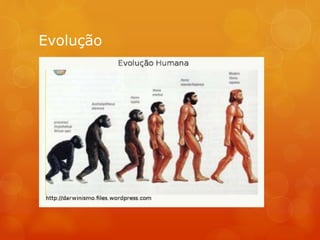 Evolução
 