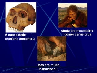Ainda era necessário
A capacidade                          comer carne crua
craniana aumentou




                    Mas era muito
                     habilidoso!!
 