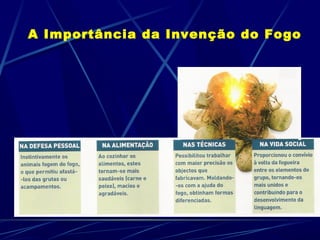 A Importância da Invenção do Fogo
 