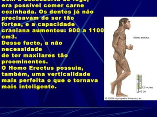Com a descoberta do fogo,
era possível comer carne
cozinhada. Os dentes já não
precisavam de ser tão
fortes, e a capacidade
craniana aumentou: 900 a 1100
cm3.
Desse facto, a não
necessidade
de ter maxilares tão
proeminentes.
O Homo Erectus possuia,
também, uma verticalidade
mais perfeita o que o tornava
mais inteligente.
 