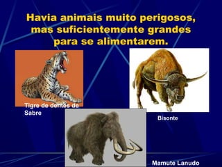 Havia animais muito perigosos,
 mas suficientemente grandes
     para se alimentarem.




Tigre de dentes de
Sabre
                       Bisonte




                      Mamute Lanudo
 