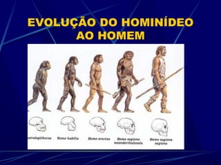 EVOLUÇÃO DO HOMINÍDEO
      AO HOMEM
 