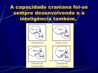 A capacidade craniana foi-se
 sempre desenvolvendo e a
   inteligência também.
 
