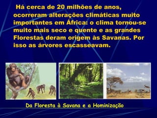 Há cerca de 20 milhões de anos,
ocorreram alterações climáticas muito
importantes em África: o clima tornou-se
muito mais seco e quente e as grandes
Florestas deram origem às Savanas. Por
isso as árvores escasseavam.




   Da Floresta à Savana e a Hominização
 