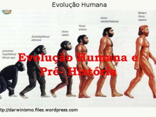 Evolução Humana e
Pré- História
 