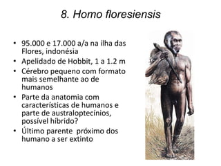 8. Homo floresiensis
• 95.000 e 17.000 a/a na ilha das
Flores, indonésia
• Apelidado de Hobbit, 1 a 1.2 m
• Cérebro pequeno com formato
mais semelhante ao de
humanos
• Parte da anatomia com
características de humanos e
parte de australoptecínios,
possível híbrido?
• Último parente próximo dos
humano a ser extinto
 