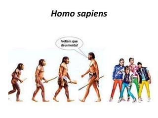 Homo sapiens
 