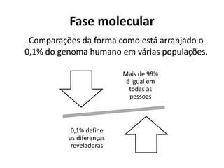 Fase molecular
Comparações da forma como está arranjado o
0,1% do genoma humano em várias populações.
Mais de 99%
é igual em
todas as
pessoas
0,1% define
as diferenças
reveladoras
 