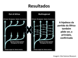 Resultados
A hipótese da
partida da África
também
pôde ser, a
princípio,
confirmada
Imagem: Site Science Museum
 