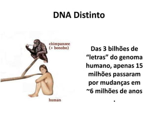DNA Distinto
Das 3 bilhões de
“letras” do genoma
humano, apenas 15
milhões passaram
por mudanças em
~6 milhões de anos
.
 