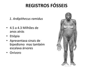 REGISTROS FÓSSEIS
1. Ardipithecus ramidus
• 4.5 a 4.3 Milhões de
anos atrás
• Etiópia
• Apresentava sinais de
bipedismo mas também
escalava árvores
• Onívoro
 