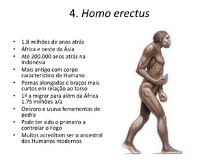 4. Homo erectus
• 1.8 milhões de anos atrás
• África e oeste da Ásia
• Até 200.000 anos atrás na
Indonésia
• Mais antigo com corpo
característico de Humano
• Pernas alongadas e braços mais
curtos em relação ao torso
• 1º a migrar para além da África
1.75 milhões a/a
• Onívoro e usava ferramentas de
pedra
• Pode ter sido o primeiro a
controlar o Fogo
• Muitos acreditam ser o ancestral
dos Humanos modernos
 