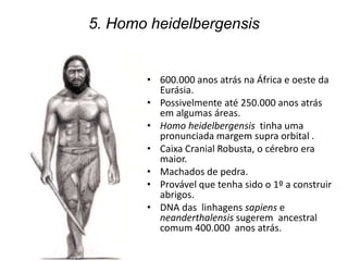5. Homo heidelbergensis
• 600.000 anos atrás na África e oeste da
Eurásia.
• Possivelmente até 250.000 anos atrás
em algumas áreas.
• Homo heidelbergensis tinha uma
pronunciada margem supra orbital .
• Caixa Cranial Robusta, o cérebro era
maior.
• Machados de pedra.
• Provável que tenha sido o 1º a construir
abrigos.
• DNA das linhagens sapiens e
neanderthalensis sugerem ancestral
comum 400.000 anos atrás.
 