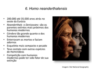 6. Homo neanderthalensis
• 200.000 até 35.000 anos atrás no
oeste da Eurásia
• Neanderthals e Denisovans são os
parentes extintos mais próximos dos
humanos modernos
• Cérebro tão grande quanto o dos
humanos modernos
• Enterravam os mortos e faziam
adornos
• Esqueleto mais compacto e pesado
• Teve contato com outras espécies
de Hominídeos
• Competição com humanos
modernos pode ter sido fator de sua
extinção
Imagem: Site National Geographic
 