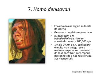 7. Homo denisovan
• Encontrados na região sudoeste
da Sibéria
• Genoma completo sequenciado
• H. denisovan e H.
neanderthalensis tiveram
ancestral comum a 700,000 a/a
• 1 % do DNAm de H. denisovans
é muito mais antigo que o
restante, sugerindo cruzamento
de seus ancestrais com espécie
desconhecida e não relacionada
aos neandertais
Imagem: Site ZME Science
 