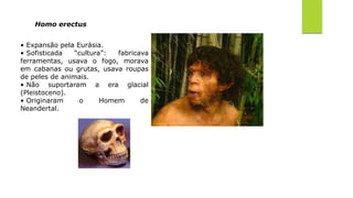 Homo erectus
• Expansão pela Eurásia.
• Sofisticada “cultura”: fabricava
ferramentas, usava o fogo, morava
em cabanas ou grutas, usava roupas
de peles de animais.
• Não suportaram a era glacial
(Pleistoceno).
• Originaram o Homem de
Neandertal.
 