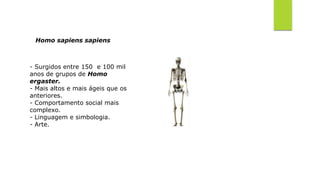 Homo sapiens sapiens
- Surgidos entre 150 e 100 mil
anos de grupos de Homo
ergaster.
- Mais altos e mais ágeis que os
anteriores.
- Comportamento social mais
complexo.
- Linguagem e simbologia.
- Arte.
 