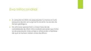 Eva Mitocondrial
 A variação no DNA nas populações humanas é muito
pequena devido ao surgimento recente na escala de
tempo geológico.
 Os africanos apresentam a maior taxa de de
variabilidade de DNA mitocondrial indicando que trata-
se da população mais antiga e reforçando a hipótese
de que os homens teriam vindo da África.
 