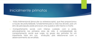 Inicialmente primatas
• Visão tridimensional (binocular ou estereoscopia), que lhes proporcionou
a noção de profundidade, fundamental para a vida nas árvores, pois um
erro de percepção pode provocar uma queda e até mesmo a morte;
• Comportamento social, com intenso cuidado com a prole,
principalmente nos primeiros anos de vida. A complexidade do
comportamento social que surgiu no grupo dos primatas foi um
importante fator em sua evolução, pois relaciona-se com o
desenvolvimento do encéfalo.
 