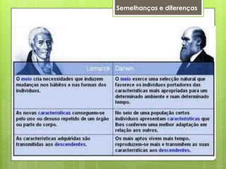 Semelhanças e diferenças
 