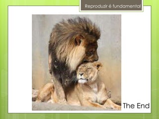 Reproduzir é fundamental
The End
 