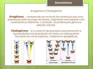 Anagênese e Cladogênese
Anagênese - corresponde ao acúmulo de mudanças que uma
população sofre ao longo do tempo, originando uma espécie com
características diferentes. ( mutação, recombinação gênica e
seleção natural).
Cladogênese - é o conjunto de processos que promovem a
separaçãode uma população em duas e a subsequyênte
formação de novas espécies. ( isolamento geográfico)
Darwinismo
 