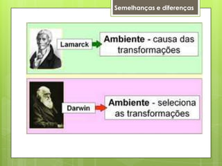 Semelhanças e diferenças
 