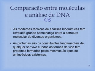 
Comparação entre moléculas
e análise de DNA
20
• As modernas técnicas de análises bioquímicas têm
revelado grande semelhança entre a estrutura
molecular de diversos organismos.
• As proteínas são os constituintes fundamentais de
qualquer ser vivo e todas as formas de vida têm
proteínas formadas pelos mesmos 20 tipos de
aminoácidos existentes.
 