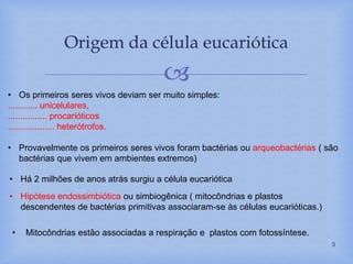 
Origem da célula eucariótica
. 3
• Os primeiros seres vivos deviam ser muito simples:
............ unicelulares,
................ procarióticos
................... heterótrofos.
• Provavelmente os primeiros seres vivos foram bactérias ou arqueobactérias ( são
bactérias que vivem em ambientes extremos)
• Há 2 milhões de anos atrás surgiu a célula eucariótica
• Hipótese endossimbiótica ou simbiogênica ( mitocôndrias e plastos
descendentes de bactérias primitivas associaram-se às células eucarióticas.)
• Mitocôndrias estão associadas a respiração e plastos com fotossíntese.
 