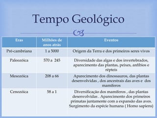 
Tempo Geológico
(c) 2007 brainybetty.com ALL RIGHTS
RESERVED.
5
Eras Milhões de
anos atrás
Eventos
Pré-cambriana 1 a 5000 Origem da Terra e dos primeiros seres vivos
Paleozóica 570 a 245 Diversidade das algas e dos invertebrados,
aparecimento das plantas, peixes, anfíbios e
répteis
Mesozóica 208 a 66 Aparecimento dos dinossauros, das plantas
desenvolvidas , dos ancestrais das aves e dos
mamíferos
Cenozóica 58 a 1 Diversificação dos mamíferos , das plantas
desenvolvidas . Aparecimento dos primeiros
primatas juntamente com a expansão das aves.
Surgimento da espécie humana ( Homo sapiens)
 