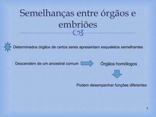 
Semelhanças entre órgãos e
embriões
9
Determinados órgãos de certos seres apresentam esqueletos semelhantes
Descendem de um ancestral comum Órgãos homólogos
Podem desempenhar funções diferentes
 