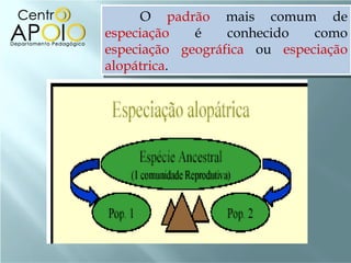 O  padrão  mais comum de  especiação  é conhecido como  especiação geográfica  ou  especiação alopátrica . 