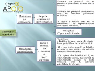 Mecanismo pré-copulatório   Mecanismo  pós-copulatório   impede  cruzamento inter-específico   reduz o sucesso do cruzamento inter-específico Pré-zigóticos   Cópula sem fertilização  Pós-zigóticos    - Fertilização com morte do zigoto (incompatibilidade de cariótipos, etc.) - O zigoto produz uma F 1  de híbridos inviáveis ou com viabilidade reduzida (inviabilidade do híbrido). - Os zigotos dos híbridos da F 1  são completamente viáveis, mas parcial ou completamente estéreis ou ainda produzem uma F 2  deficiente (esterilidade do híbrido). Parceiros em potencial não se encontram (isolamento sazonal ou de hábitat)  Parceiros em potencial encontram-se, mas não copulam (isolamento etológico)  A cópula é tentada, mas não há transferência de espermatozóides (isolamento mecânico). Isolamento  reprodutivo 