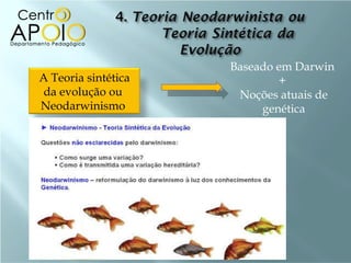 Baseado em Darwin  +  Noções atuais de genética A Teoria sintética da evolução ou  Neodarwinismo  