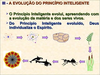 III -III - A EVOLUÇÃO DO PRINCÍPIO INTELIGENTEA EVOLUÇÃO DO PRINCÍPIO INTELIGENTE
 O Princípio Inteligente evolui, apreendendo comO Princípio Inteligente evolui, apreendendo com
a evolução da matéria e dos seres vivos.a evolução da matéria e dos seres vivos.
 Do Princípio Inteligente evoluído, DeusDo Princípio Inteligente evoluído, Deus
individualiza o Espírito.individualiza o Espírito.
 