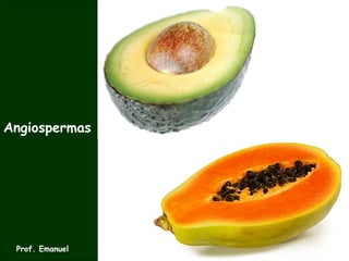 Angiospermas
Prof. Emanuel
 