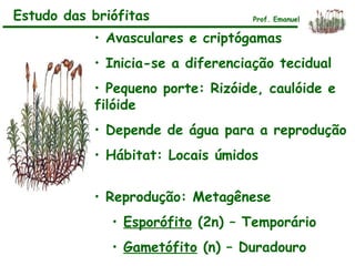 Estudo das briófitas Prof. Emanuel
• Avasculares e criptógamas
• Inicia-se a diferenciação tecidual
• Pequeno porte: Rizóide, caulóide e
filóide
• Depende de água para a reprodução
• Hábitat: Locais úmidos
• Reprodução: Metagênese
• Esporófito (2n) – Temporário
• Gametófito (n) – Duradouro
 