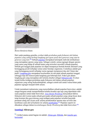 Biston Betularia putih




Biston Betularia hitam

Dari sudut pandang genetika, evolusi ialah perubahan pada frekuensi alel dalam
populasi yang saling berbagi lungkang gen (gene pool) dari generasi yang satu ke
generasi yang lain.[64] Sebuah populasi merupakan kelompok individu terlokalisasi
yang merupakan spesies yang sama. Sebagai contoh, semua ngengat dengan spesies
yang sama yang hidup di sebuah hutan yang terisolasi mewakili sebuah populasi.
Sebuah gen tunggal pada populasi ini dapat mempunyai bentuk-bentuk alternatif yang
bertanggung jawab terhadap variasi antar fenotipe organisme. Contohnya adalah gen
yang bertanggung jawab terhadap warna ngengat mempunyai dua alel: hitam dan
putih. Lungkang gen merupakan keseluruhan set alel pada sebuah populasi tunggal,
sehingga tiap alel muncul pada lungkang gen beberapa kali. Fraksi gen dalam
lungkang gen yang merupakan alel tertentu disebut sebagai frekuensi alel. Evolusi
terjadi ketika terdapat perubahan pada frekuensi alel dalam sebuah populasi
organisme yang saling berkembangbiak; sebagai contoh alel untuk warna hitam pada
populasi ngengat menjadi lebih umum.

Untuk memahami mekanisme yang menyebabkan sebuah populasi berevolusi, adalah
sangat berguna untuk memperhatikan kondisi-kondisi apa saja yang diperlukan oleh
suatu populasi untuk tidak berevolusi. Asas Hardy-Weinberg menyatakan bahwa
frekuensi alel (variasi pada sebuah gen) pada sebuah populasi yang cukup besar akan
tetap konstan jika gaya dorong yang terdapat pada populasi tersebut hanyalah
penataan ulang alel secara acak selama pembentukan sperma atau sel telur dan
kombinasi acak alel sel kelamin ini selama pembuahan.[65] Populasi seperti ini
dikatakan sebagai dalam kesetimbangan Hardy-Weinberg dan tidak berevolusi.[66]

[sunting] Aliran gen

   Artikel utama untuk bagian ini adalah: Aliran gen, Hibrida, dan transfer gen
horizontal
 