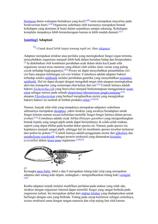 biomassa dunia walaupun bentuknya yang kecil,[109] serta merupakan mayoritas pada
biodiversitas bumi.[110] Organisme sederhana oleh karenanya merupakan bentuk
kehidupan yang dominan di bumi dalam sejarahnya sampai sekarang. Kehidupan
kompleks tampaknya lebih beranekaragam karena ia lebih mudah diamati.[111]

[sunting] Adaptasi

          Untuk detail lebih lanjut tentang topik ini, lihat Adaptasi.

Adaptasi merupakan struktur atau perilaku yang meningkatkan fungsi organ tertentu,
menyebabkan organisme menjadi lebih baik dalam bertahan hidup dan bereproduksi.
[7]
    Ia diakibatkan oleh kombinasi perubahan acak dalam skala kecil pada sifat
organisme secara terus menerus yang diikuti oleh seleksi alam varian yang paling
cocok terhadap lingkungannya.[112] Proses ini dapat menyebabkan penambahan ciri-
ciri baru ataupun kehilangan ciri-ciri leluhur. Contohnya adalah adaptasi bakteri
terhadap seleksi antibiotik melalui perubahan genetika yang menyebabkan resistansi
antibiotik. Hal ini dapat dicapai dengan mengubah target obat ataupun meningkatkan
aktivitas transporter yang memompa obat keluar dari sel.[113] Contoh lainnya adalah
bakteri Escherichia coli yang berevolusi menjadi berkemampuan menggunakan asam
sitrat sebagai nutrien pada sebuah eksperimen laboratorium jangka panjang,[114]
ataupun Flavobacterium yang berhasil menghasilkan enzim yang mengijinkan
bakteri-bakteri ini tumbuh di limbah produksi nilon.[115][116]

Namun, banyak sifat-sifat yang tampaknya merupakan adapatasi sederhana
sebenarnya merupakan eksaptasi, yakni struktur yang awalnya beradaptasi untuk
fungsi tertentu namun secara kebetulan memiliki fungsi-fungsi lainnya dalam proses
evolusi.[117] Contohnya adalah cicak Afrika Holaspis guentheri yang mengembangkan
bentuk kepala yang sangat pipih untuk dapat bersembunyi di celah-celah retakan,
seperti yang dapat dilihat pada kerabat dekat spesies ini. Namun, pada spesies ini,
kepalanya menjadi sangat pipih, sehingga hal ini membantu spesies tersebut meluncur
dari pohon ke pohon.[117] Contoh lainnya adalah penggunaan enzim dari glikolisis dan
metabolisme xenobiotik sebagai protein struktural yang dinamakan kristalin
(crystallin) dalam lensa mata organisme.[118][119]




Kerangka paus balin, label a dan b merupakan tulang kaki sirip yang merupakan
adaptasi dari tulang kaki depan; sedangkan c mengindikasikan tulang kaki vestigial.
[120]



Ketika adaptasi terjadi melalui modifikasi perlahan pada stuktur yang telah ada,
struktur dengan organisasi internal dapat memiliki fungsi yang sangat berbeda pada
organisme terkait. Ini merupakan akibat dari stuktur leluhur yang diadaptasikan untuk
berfungsi dengan cara yang berbeda. Tulang pada sayap kelelawar sebagai contohnya,
secara struktural sama dengan tangan manusia dan sirip anjing laut oleh karena
 