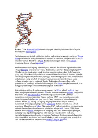 Struktur DNA. Basa nukleotida berada ditengah, dikelilingi oleh rantai fosfat-gula
dalam bentuk heliks ganda.

Evolusi organisme terjadi melalui perubahan pada sifat-sifat yang terwariskan. Warna
mata pada manusia, sebagai contohnya, merupakan sifat-sifat yang terwariskan ini.[28]
Sifat terwariskan dikontrol oleh gen dan keseluruhan gen dalam suatu genom
organisme disebut sebagai genotipe.[29]

Keseluruhan sifat-sifat yang terpantau pada perilaku dan struktur organisme disebut
sebagai fenotipe. Sifat-sifat ini berasal dari interaksi genotipe dengan lingkungan.[30]
Oleh karena itu, tidak setiap aspek fenotipe organisme diwariskan. Kulit berwarna
gelap yang dihasilkan dari penjemuran matahari berasal dari interaksi antara genotipe
seseorang dengan cahaya matahari; sehingga warna kulit gelap ini tidak akan diwarisi
ke keturunan orang tersebut. Walaupun begitu, manusia memiliki respon yang
berbeda terhadap cahaya matahari, dan ini diakibatkan oleh perbedaan pada
genotipenya. Contohnya adalah individu dengan sifat albino yang kulitnya tidak akan
menggelap dan sangat sensitif terhadap sengatan matahari.[31]

Sifat-sifat terwariskan diwariskan antar generasi via DNA, sebuah molekul yang
dapat menyimpan informasi genetika.[29] DNA merupakan sebuah polimer yang terdiri
dari empat jenis basa nukleotida. Urutan basa pada molekul DNA tertentu
menentukan informasi genetika. Bagian molekul DNA yang menentukan sebuah
satuan fungsional disebut gen; gen yang berbeda mempunyai urutan basa yang
berbeda. Dalam sel, unting DNA yang panjang berasosiasi dengan protein,
membentuk struktur padat yang disebut kromosom. Lokasi spesifik pada sebuah
kromosom dikenal sebagai lokus. Jika urutan DNA pada sebuah lokus bervariasi antar
individu, bentuk berbeda pada urutan ini disebut sebagai alel. Urutan DNA dapat
berubah melalui mutasi, menghasilkan alel yang baru. Jika mutasi terjadi pada gen,
alel yang baru dapat mempengaruhi sifat individu yang dikontrol oleh gen,
menyebabkan perubahan fenotipe organisme. Walaupun demikian, manakala contoh
ini menunjukkan bagaimana alel dan sifat bekerja pada beberapa kasus, kebanyakan
sifat lebih kompleks dan dikontrol oleh interaksi banyak gen.[32][33]
 