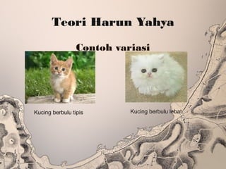 Teori Harun Yahya
Contoh variasi
Kucing berbulu tipis Kucing berbulu lebat
 