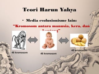 Teori Harun Yahya
• Media evolusionisme lain:
“Kromosom antara manusia, kera, dan
kentang”
46 kromosom
46 kromosom48 kromosom
 