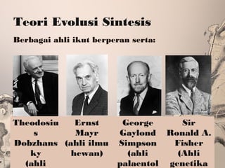 Teori Evolusi Sintesis
Berbagai ahli ikut berperan serta:
Theodosiu
s
Dobzhans
ky
(ahli
Ernst
Mayr
(ahli ilmu
hewan)
George
Gaylond
Simpson
(ahli
palaentol
Sir
Ronald A.
Fisher
(Ahli
genetika
 