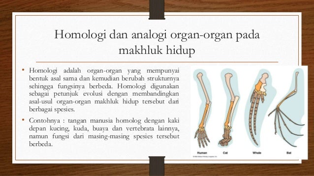 13 Contoh Soal Homologi  Dan Analogi Contoh Soal Terbaru